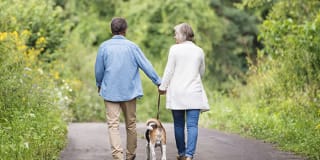 a senior couple walking on a tree lined trail holding hands walking their dog.