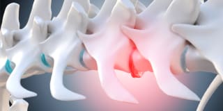 illustration of a spine