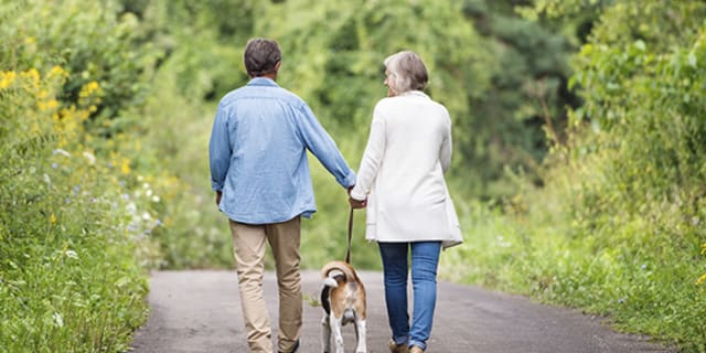a senior couple walking on a tree lined trail holding hands walking their dog.