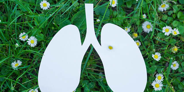image of lungs