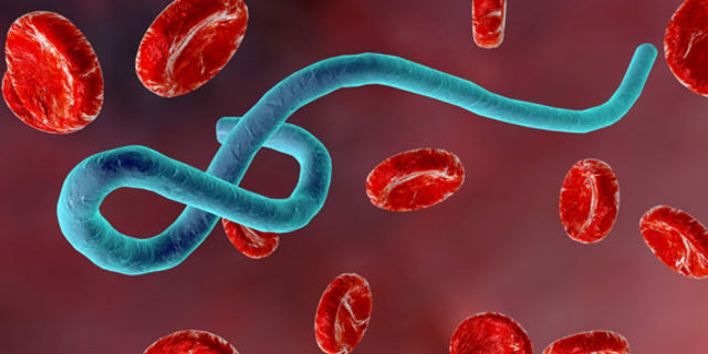 photo for Ebola outbreak article
