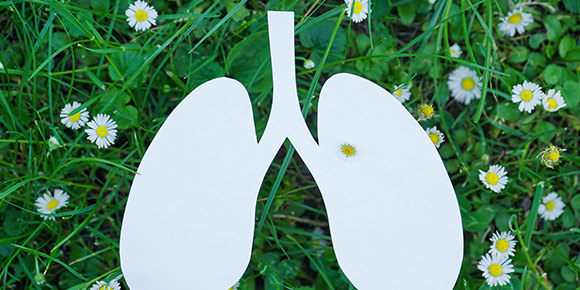 Graphic of white lungs