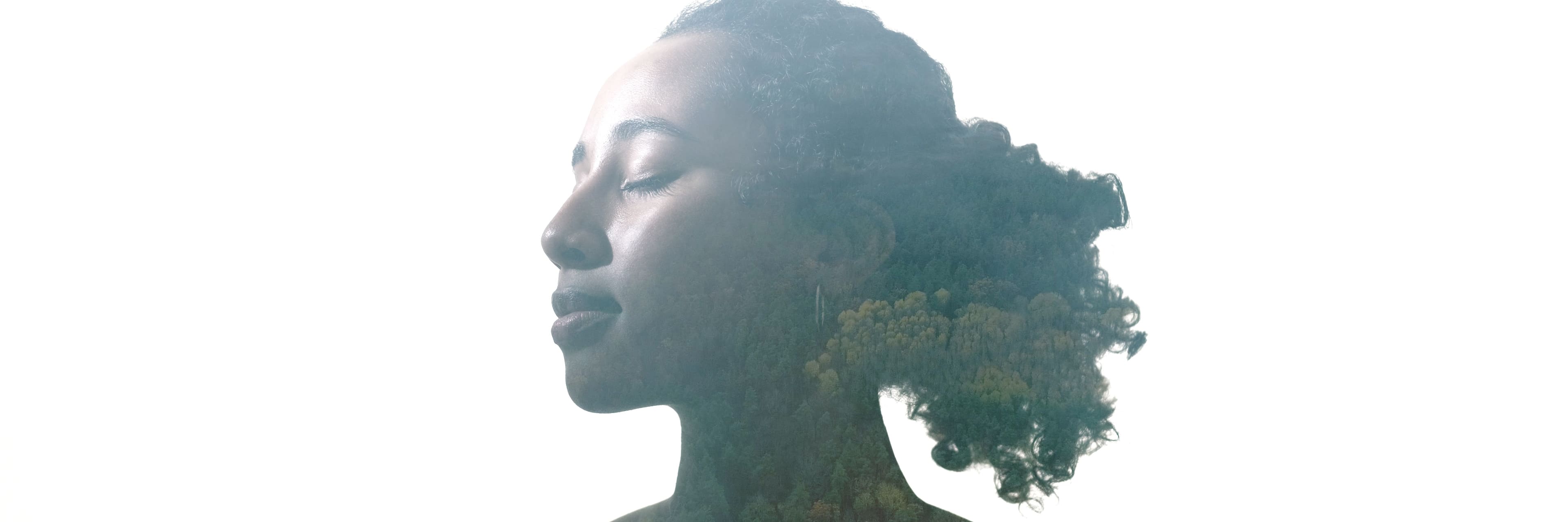 double exposure profile silhouette of calm tranquil woman face with forest landscape clouds isolated on white empty space