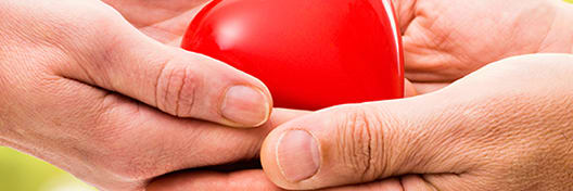 Two hands holding a red heart