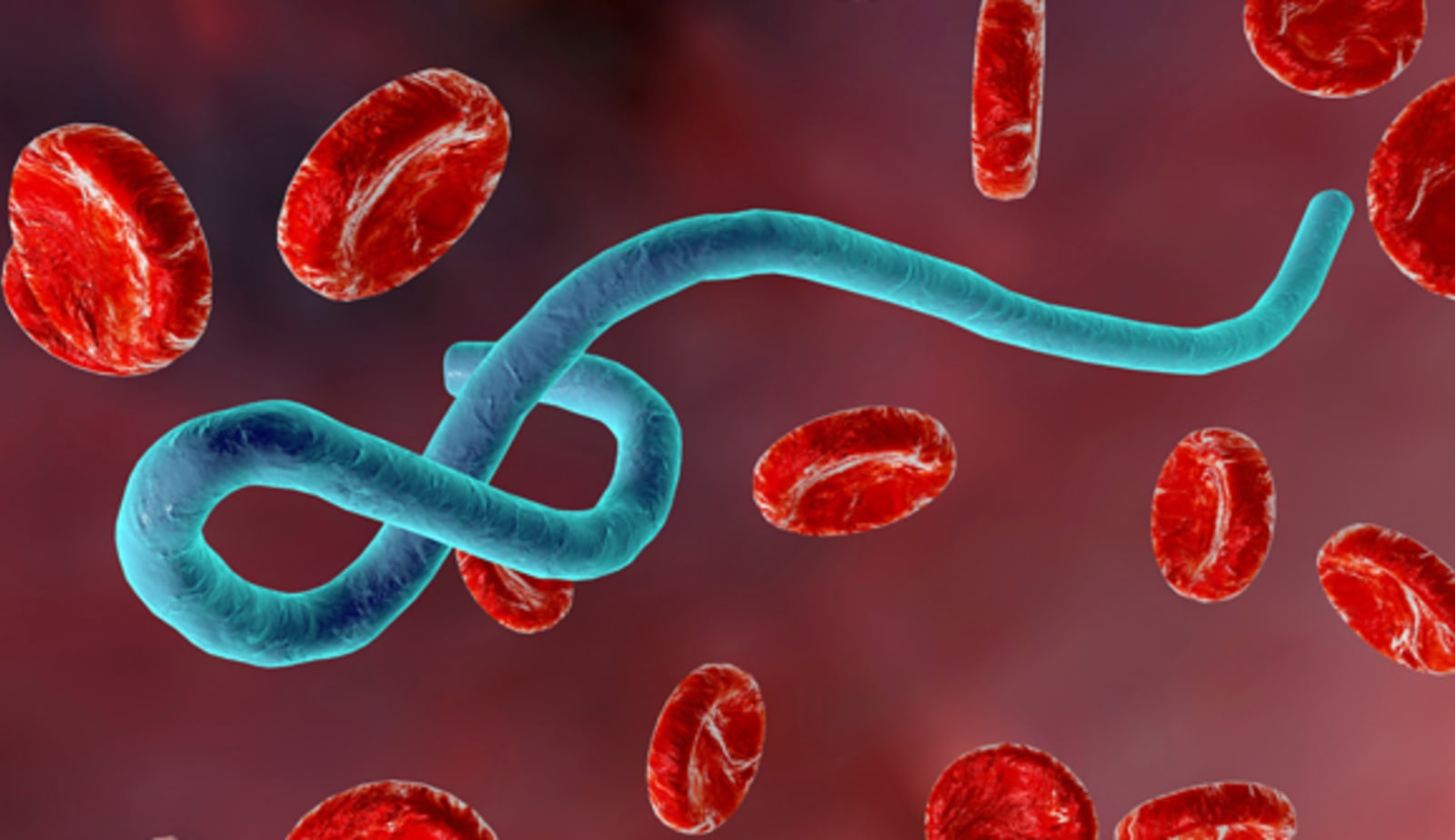photo for Ebola outbreak article