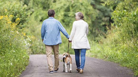 a senior couple walking on a tree lined trail holding hands walking their dog