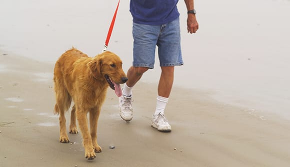 Man walking dog on the beach