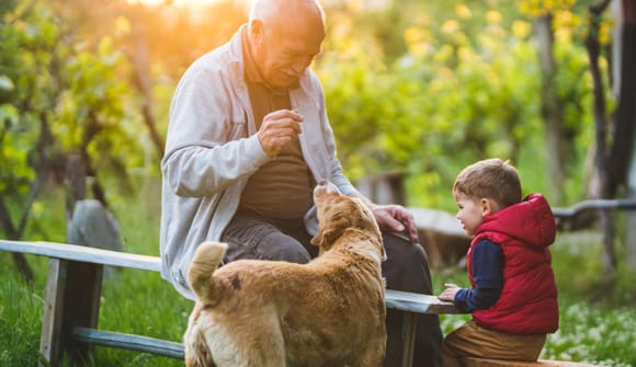 senior adult sitting on a bench in the woods with dog and grandson beside him