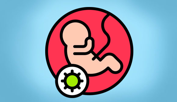 graphic of a baby in the womb with a virus depicted outside of it