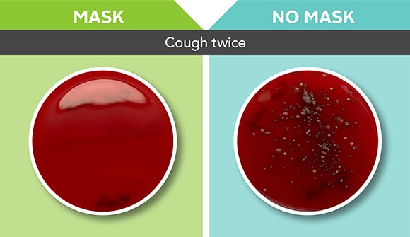 petri dishes show difference between wearing a mask or not wearing a mask