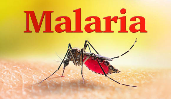 close up of mosquito with words "Malaria"
