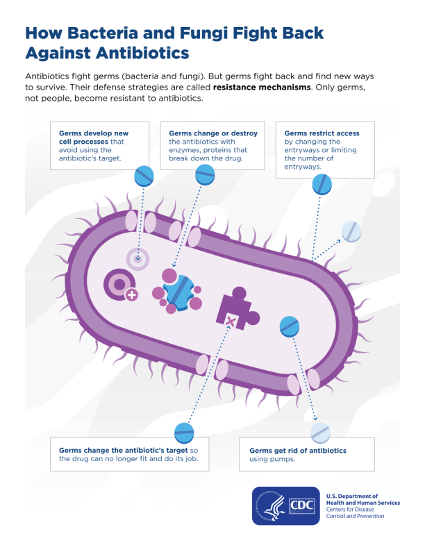 Infographic describing how bacteria and fungi fight back against antibiotics