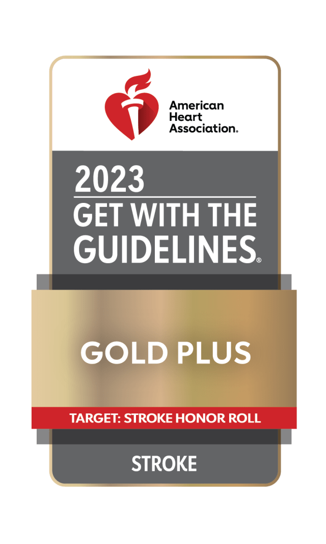 2023 get with the guidelines gray and gold logo image for stroke with red ribbon saying "target stroke honor roll"