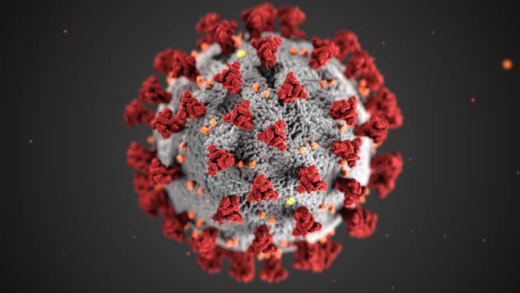 covid-19 virus illustration