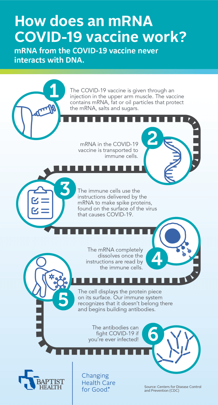 infographic of how an mRNA COVID-19 vaccine works