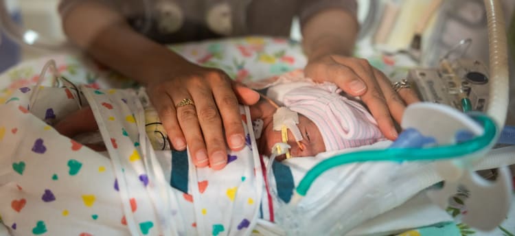 A woman gently places her hands on a baby girl in a NICU incubator