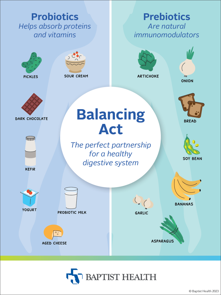 Balancing Act infographic illustration different probiotics and prebiotics
