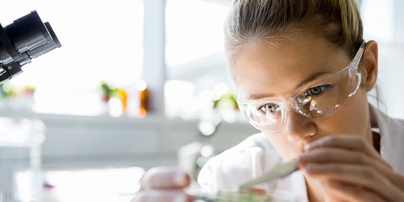 Female clinical trials researcher wearing safety goggles examines petrie dish.