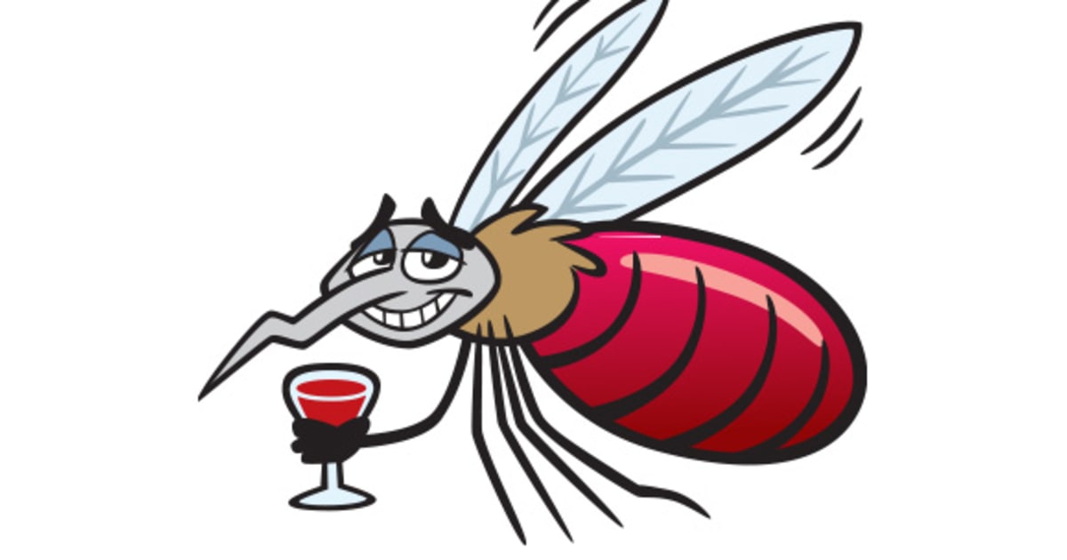 Why mosquitoes choose you Baptist Health Jacksonville, FL