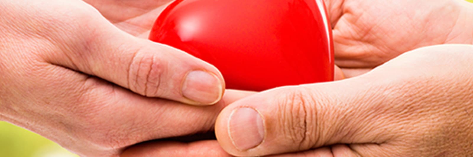 Two hands holding a red heart