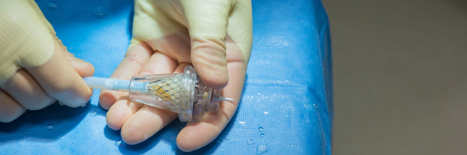 close up of TAVR device