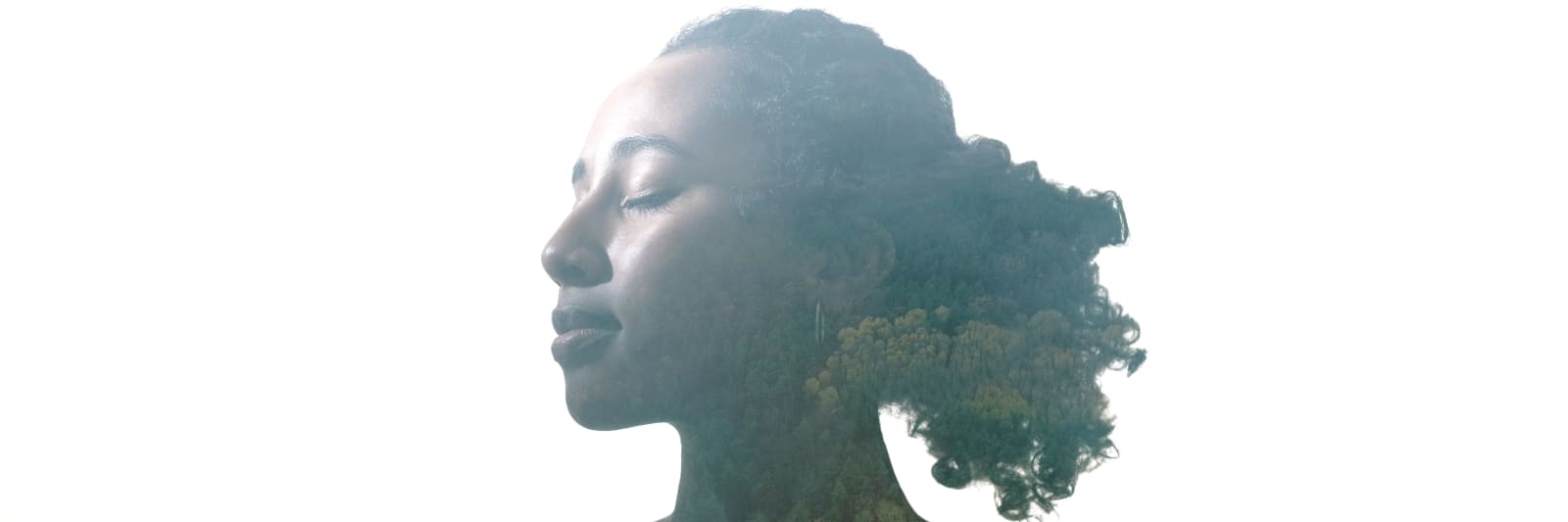 double exposure profile silhouette of calm tranquil woman face with forest landscape clouds isolated on white empty space
