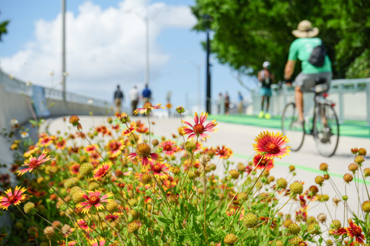 people biking and walking along a trail with wildflowers