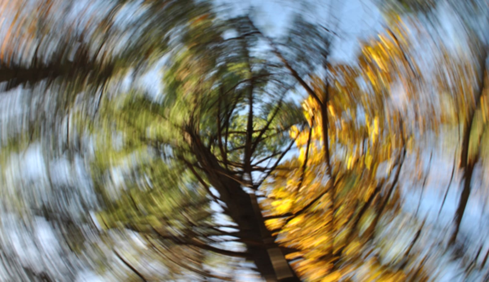 photo for Getting dizzy with it article