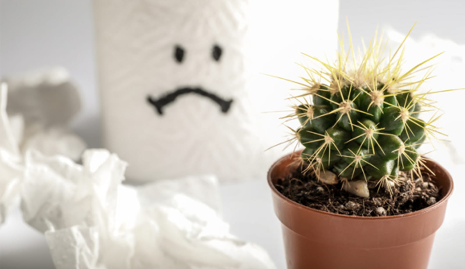 graphic representing hemmoroids with unhappy toilet paper and a cactus