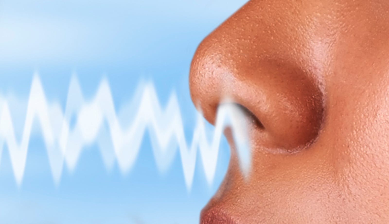 close up of a nose smelling