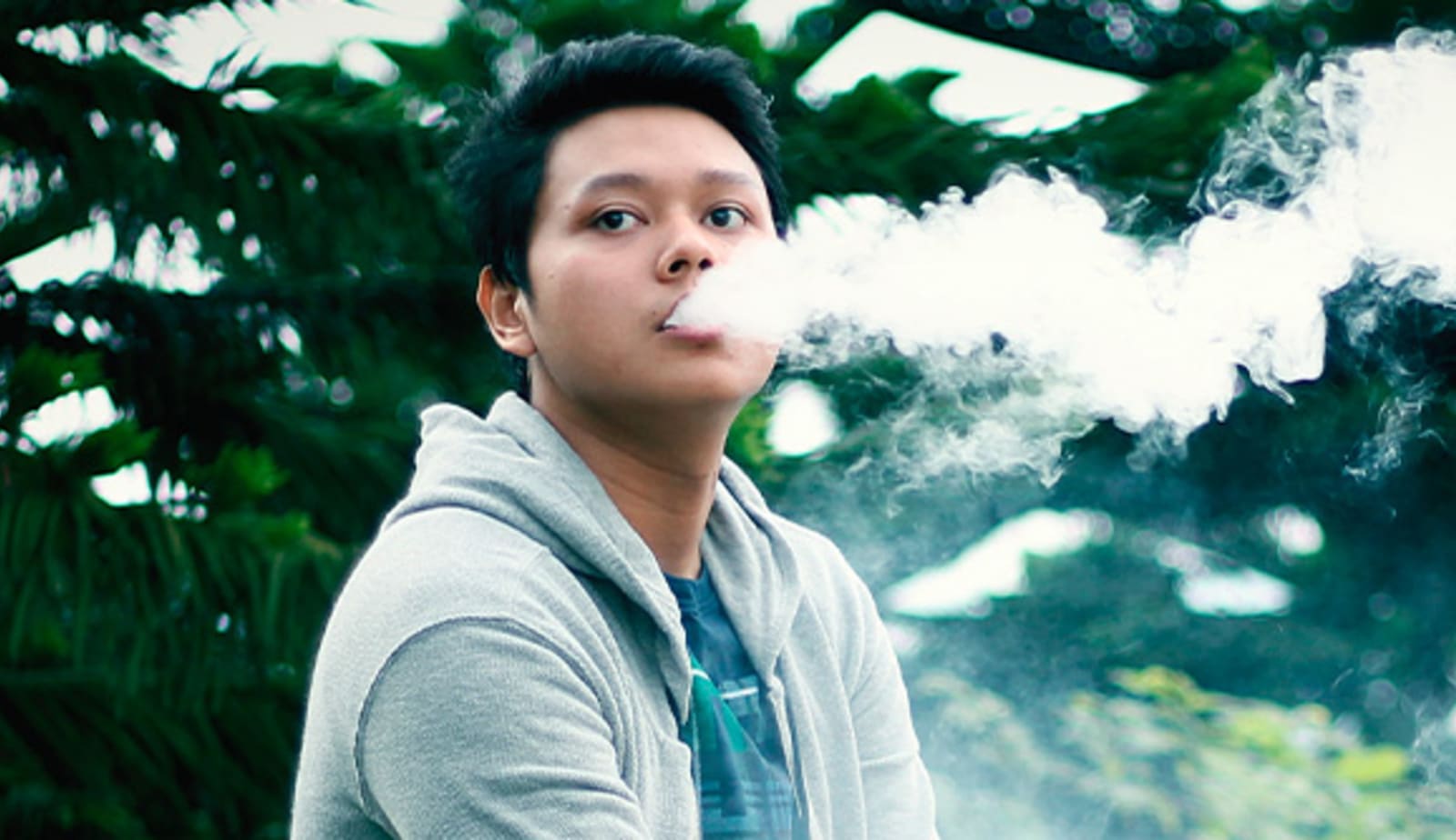photo for Clearing the air article