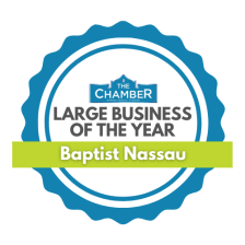 Nassau Large Business of the Year Award Logo