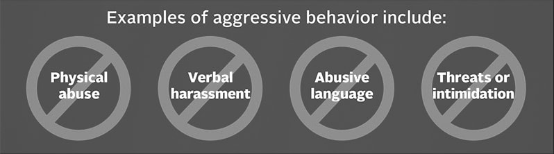 Examples of aggressive behavior