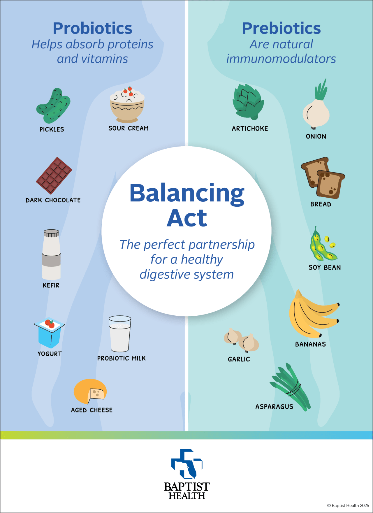 Balancing Act infographic illustration different probiotics and prebiotics