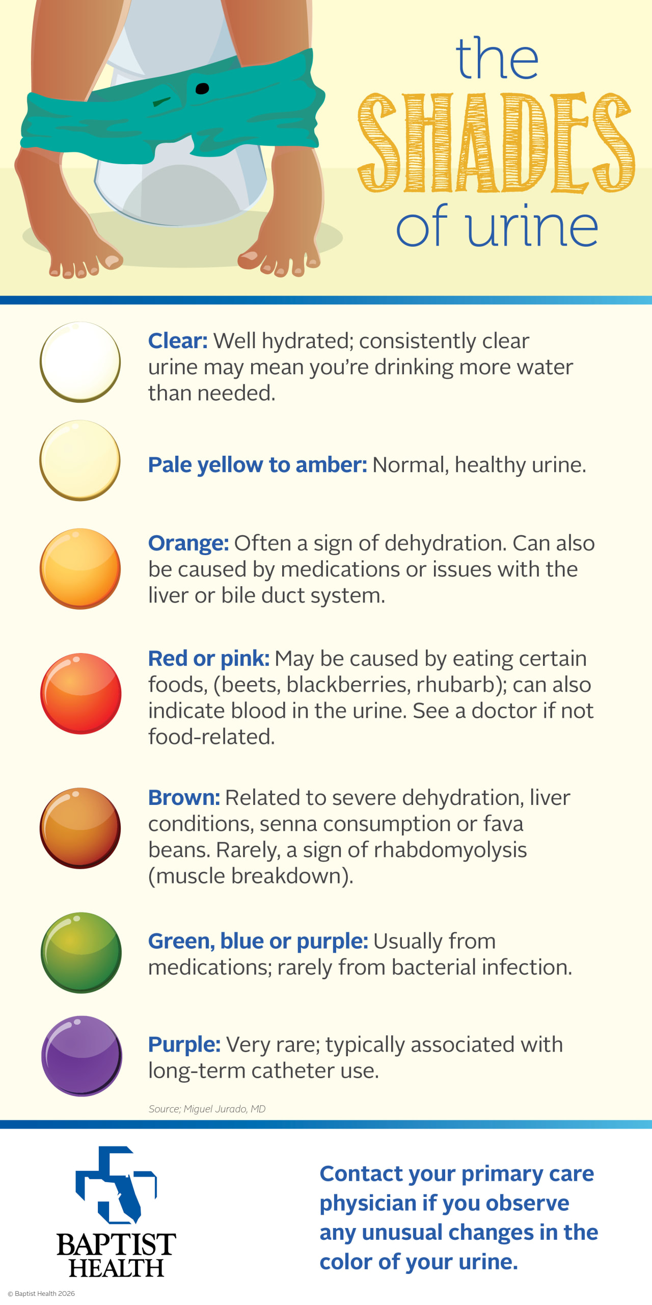 Urine inforgraphic - more info below