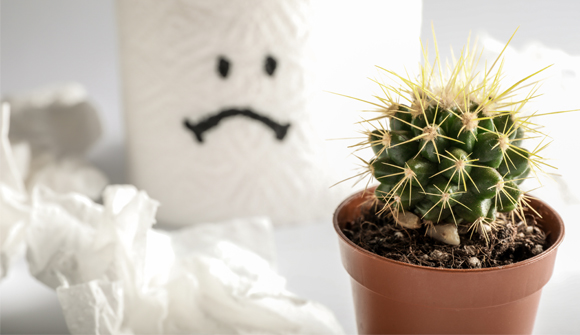 a cactus plant in a small pot surrounded by toilet paper and a toilet paper roll with a sad face painted on it.