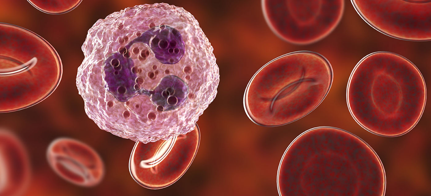 Graphic of blood cells